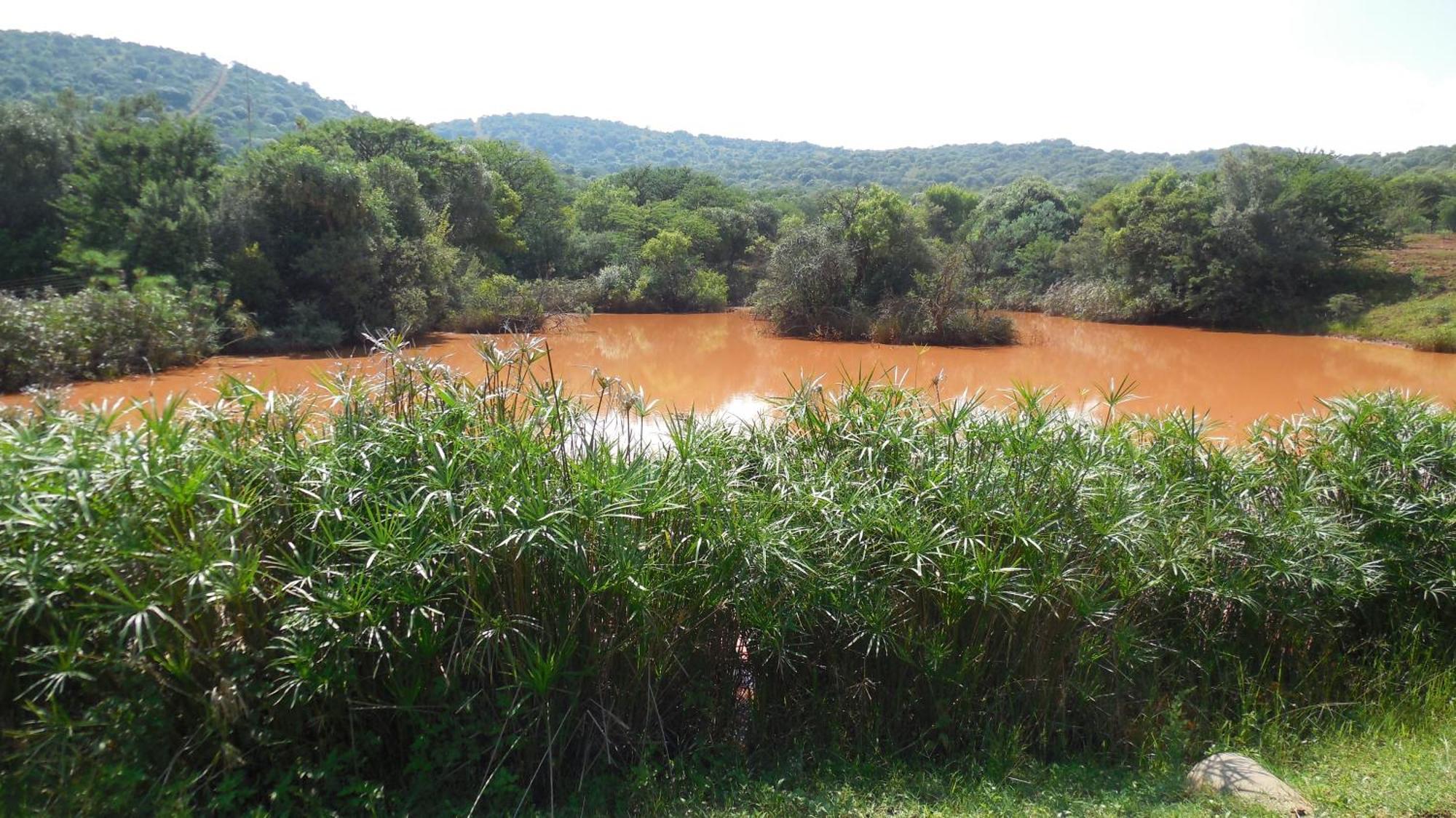 Tidimalo Lodge Ράστενμπεργκ Εξωτερικό φωτογραφία