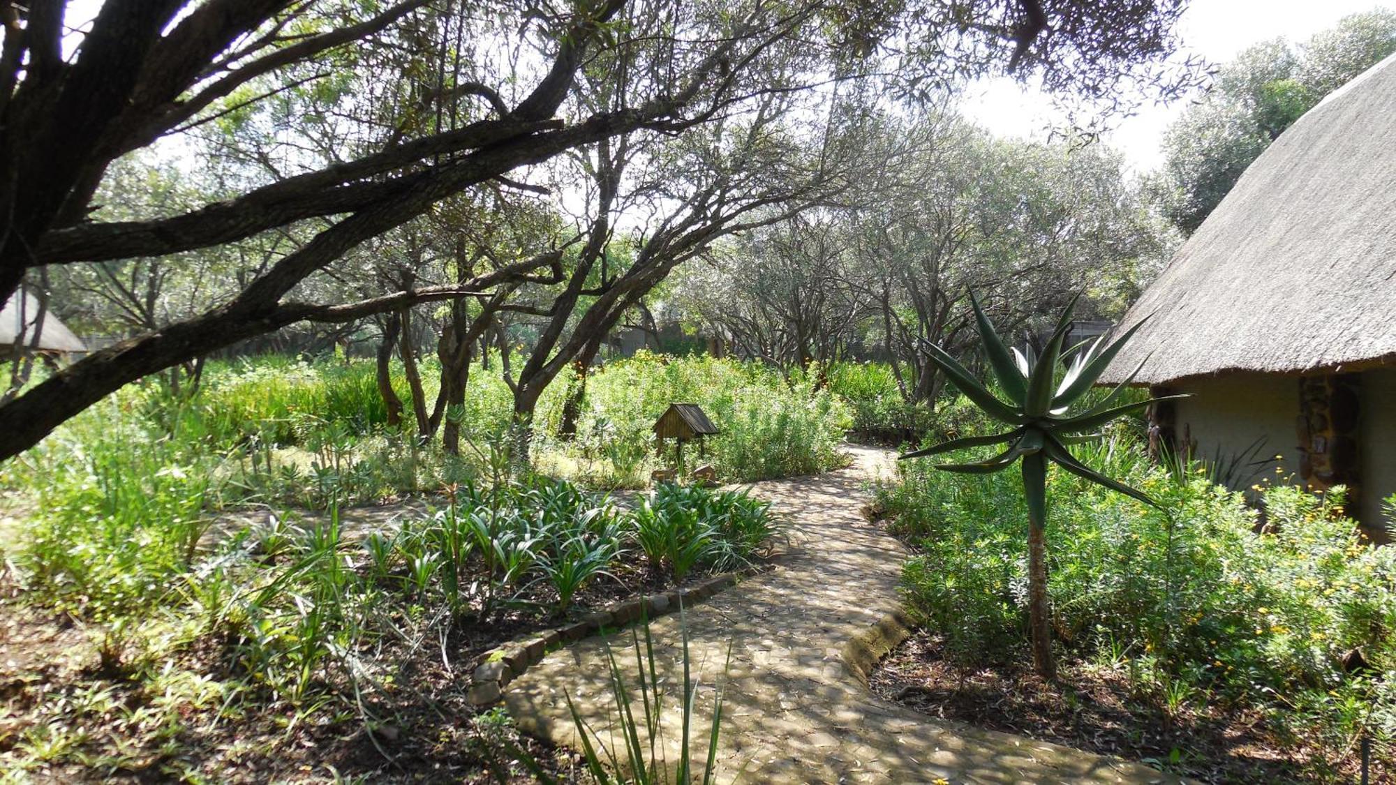 Tidimalo Lodge Ράστενμπεργκ Εξωτερικό φωτογραφία